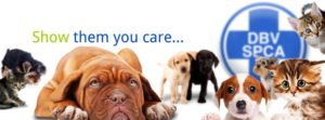 SPCA logo - CMH Peugeot East Rand Blog Page