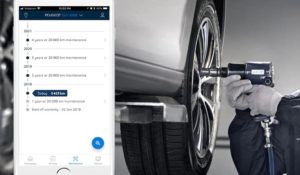Maintenance